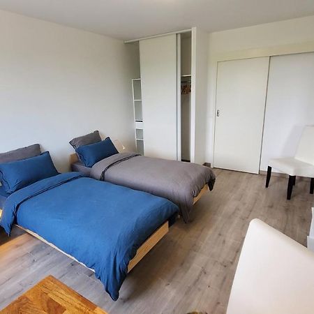 Apartamento L'Ecrin De Saint Genest Lerpt - Belle Vue Et Calme Exterior foto